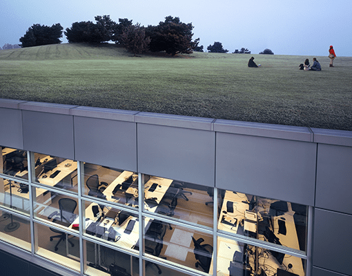 Lenovo brand image - grass roof